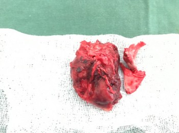 Photo 12-06-2017, 11 43 40 AM