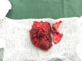 Photo 12-06-2017, 11 44 06 AM