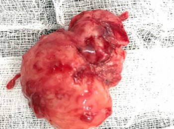 Photo 19-10-2017, 8 26 58 AM