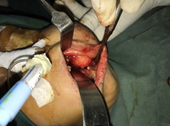 Photo 22-05-2017, 9 37 59 AM