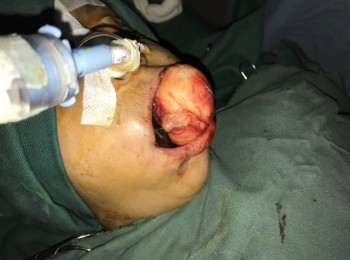 Photo 22-05-2017, 9 44 10 AM