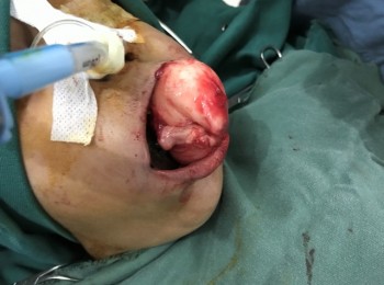 Photo 22-05-2017, 9 44 21 AM