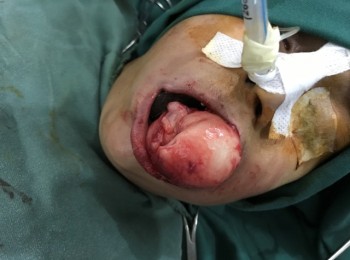 Photo 22-05-2017, 9 44 45 AM