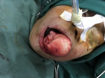 Photo 22-05-2017, 9 44 46 AM