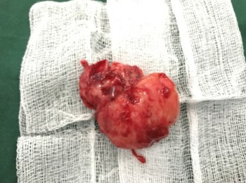 Photo 22-05-2017, 9 46 16 AM