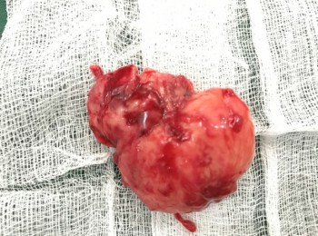 Photo 22-05-2017, 9 46 23 AM