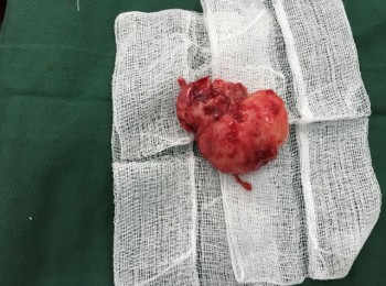 Photo 22-05-2017, 9 46 26 AM