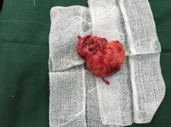 Photo 22-05-2017, 9 46 27 AM