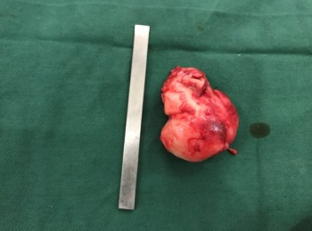 Photo 22-05-2017, 9 47 52 AM