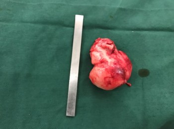 Photo 22-05-2017, 9 47 54 AM