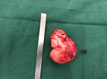 Photo 22-05-2017, 9 48 02 AM