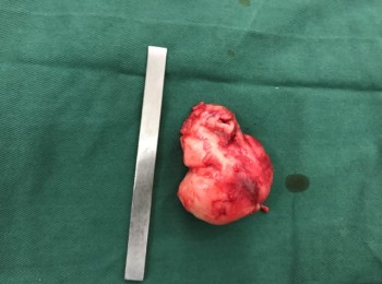 Photo 22-05-2017, 9 48 03 AM