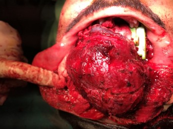 Photo 24-08-2017, 10 53 46 AM