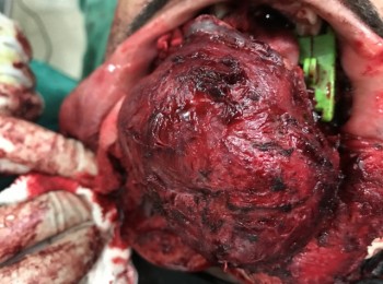 Photo 24-08-2017, 10 54 01 AM